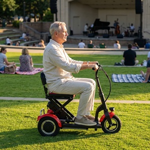 Scooter électrique ergonomique à trois <span class=keywords><strong>roues</strong></span> auto-équilibrant et confortable <span class=keywords><strong>avec</strong></span> coussin large pour concerts de jazz en plein air - Product Image 2