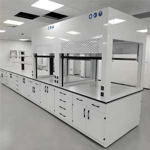 Hotte de <span class=keywords><strong>laboratoire</strong></span> chimique, armoire à fumées à conduit pour les laboratoires pharmaceutiques, universitaires et de R&D avec volet et éclairage LED - Product Image 1