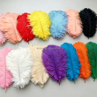 Plumes multicolores 15-20CM Plume d'autruche pour mariage, fête, danse, ornements de carnaval