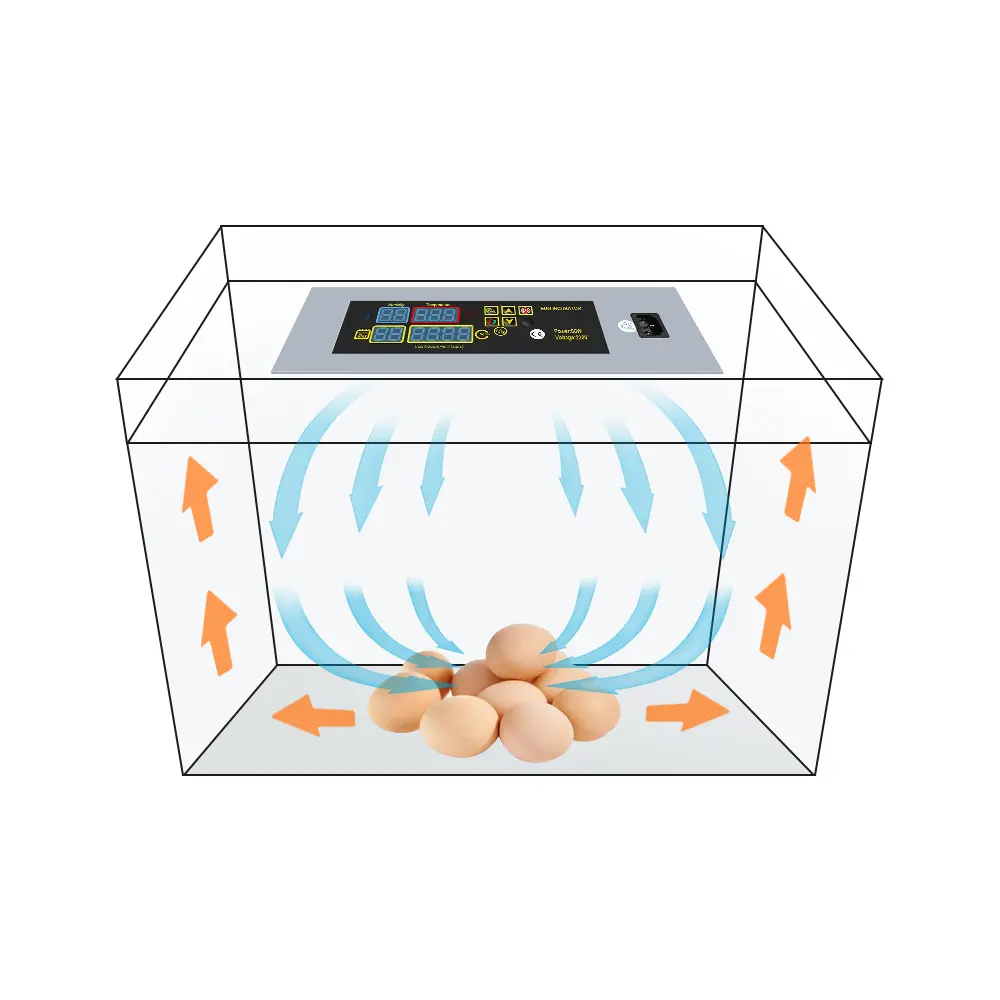Factory Best Price Controller für Mini Automatic Chicken Egg Incubator