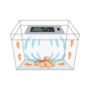 Контроллер для автоматического мини-инкубатора куриных яиц по лучшей цене от производителя