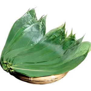 100PCS/Pack Organic Fresh Sushi Bamboo Leaves Food Decoration Leaf