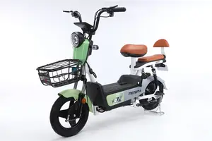 Hot Sale Colorful Electric Bicycle For Passenger Made In ChinaThree-phase Phase And CCC Certification Electric Bicycle Motor