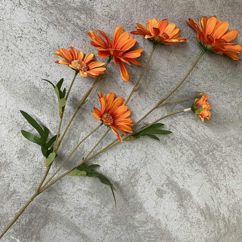 Arancione