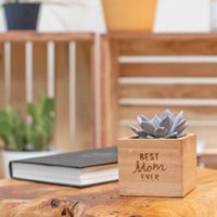 Mini plante succulente personnalisée en pot dans un décor en bois jardinière cadeaux pour anniversaire pendaison de crémaillère fête des mères coffret cadeau