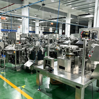 GDS300B-04 Automatische Etikettiermaschine für Fertigfolienbeutel mit Heißsiegelung und Luftablass für Lebensmittelqualität