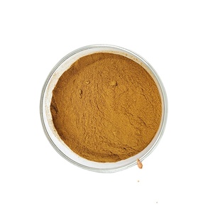 Polvo de extracto de Radix Angelicae Pubescentis Extracto de Angelica Radix de alta calidad - Product Image 1