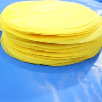 Feuilles de filtre rondes en maille de nylon personnalisées en gros, légères, multifonctionnelles et résistantes aux acides