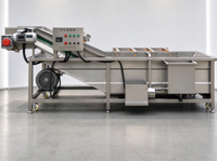 Machine à laver les légumes entièrement automatique en acier inoxydable SUS304, idéale pour laver les tomates, les pommes de terre et les légumes à feuilles.