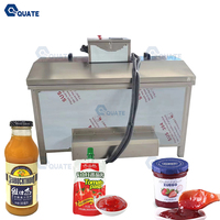 Machine de pasteurisation à froid Flash Egg Mini 500 Pasteurisateur liquide de jus de pomme de 200 litres pour crème glacée