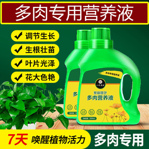 Solución nutritiva específica para suculentas de 500 ml para raíces fuertes y hojas brillantes - Product Image 5