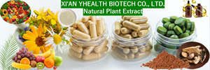 Yhealth Herb Factory Outlet Shiitake Mushroom <strong>Extract</strong> 10% Polysaccharide Powder for Healthcare with Long Shelf Life Food - Product Image 4