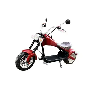 NEW NZITA Hot Sale Best Same as original NZITA X12 electric scooter to EU Market