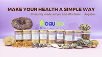 Matière première super-alimentaire Clean-Label |   Poudre d'extrait de Shiitake biologique, service OEM/ODM, étiquette privée