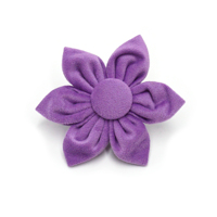 Accessoires pour animaux de compagnie en velours doux, à porter sur les colliers de chiens et de chats, différentes couleurs disponibles pour la vente en gros