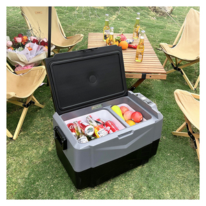 Caja enfriadora eléctrica portátil de doble zona para acampar, 12V/24V CC, compresor, congelador, nevera para coche - Product Image 1