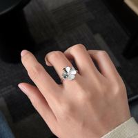 Anillos de Trébol de Cuatro Hojas Dylam, Chapados en Oro Rodio, Plata de Ley 925, con Circonitas Cúbicas 5A, Anillo de Joyería con Trébol de la Suerte