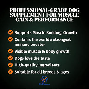 11'i 1 Arada Kas Geliştirici Çiğneme Tabletleri, Yüksek Protein ve Amino Asit İçeren Köpekler İçin Kilo Aldırıcı Takviye, Evcil Hayvanlar İçin Premium Kas Geliştirici Yumuşak Çiğneme Tabletleri - Product Image 4