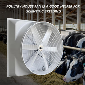 ขายตรงจากโรงงาน <span class=keywords><strong>พัดลม</strong></span><span class=keywords><strong>ดูด</strong></span><span class=keywords><strong>อากาศ</strong></span>ไฟเบอร์กลาสสำหรับโรงเรือนเลี้ยงสัตว์ปีก - Product Image 1
