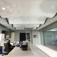 Plafond tendu blanc moderne imperméable Interror 430x420, film brillant en PVC, plafond tendu blanc pour la décoration de la maison