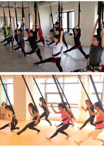 도매 맞춤형 탄력 댄스 벨트 플라잉 매직 바이탈리티 도어 요가 행잉 번지 로프 맞춤형 필라테스 액세서리 - Product Image 2