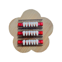 CAIYU-Fausses dents dentaires antérieures inférieures, prothèse composite à deux couches avec dents en polymère synthétique