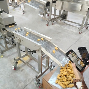 Công nghiệp cá thịt bò Burger patty hình thành máy làm gà Nugget thịt Pie đập và breading chiên dòng - Product Image 3