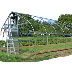 Secador agrícola multicanal de gran tamaño con película de PE de una sola capa, tipo invernadero, de bajo consumo energético, para chiles - Product Image 4