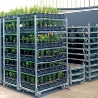 Chine Muliti Étagères Transport des plantes Chariot danois CC Chariot à fleurs roulant avec roues