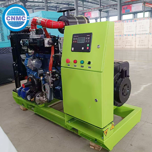 150kW Silent Type Dual Fuel Natural Gas LPG Gas Generator Set 3 Phase 400V DC Electric Start 6 Cylinder 60Hz ISO Certified IP66