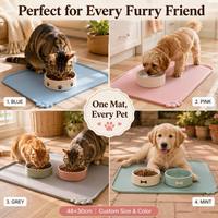 Tapis d'alimentation pour animaux de compagnie en silicone et PVC, taille personnalisée, anti-déversement, rebord surélevé, antidérapant, imperméable, pour gamelles de chien et de chat, OEM ODM 	 117