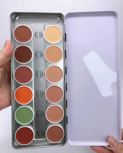 12 색 컨실러 Palete 개인 상표 부드러운 윤곽 분말 방수 얼굴 화장품 컨실러 - Product Image 5
