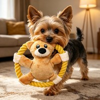 Großhandel Plüsch-Bär Hundezerrseil-Spielzeug Langlebiges Baumwollseil-Ring Kauspielzeug für Haustiere Interaktives Trainingsspielzeug für Welpen und Hunde