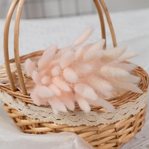 Fleurs de pampas séchées faites à la main, écologiques, longue durée, bouquets pour la décoration d'événements de mariage - Product Image 3