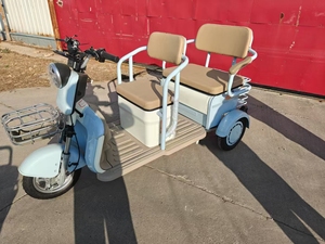 <span class=keywords><strong>Triciclo</strong></span> Eléctrico <span class=keywords><strong>de</strong></span> <span class=keywords><strong>Carga</strong></span> <span class=keywords><strong>Económico</strong></span> <span class=keywords><strong>de</strong></span> 3 Ruedas, Motor <span class=keywords><strong>de</strong></span> 500W/600W/750W, Controlador Inteligente, 48V/60V, Nuevo - Product Image 4