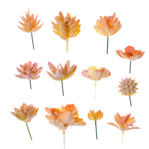 Teste di <span class=keywords><strong>Fiori</strong></span> in Plastica Floccata Serie Gialla, Accessori Creativi per Piante <span class=keywords><strong>Succulente</strong></span>, Decorazioni per Pareti e Casa - Product Image 2