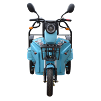 Chang li – Mini Scooter électrique à trois roues, Tricycle avec toit pour adulte, noir, vert, argent, corps moteur acide, puissance B