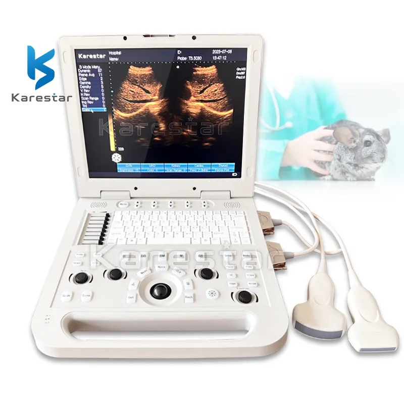 Precio de la máquina de ultrasonido portátil veterinario ultrasónico portátil de ultrasonido veterinario portátil de