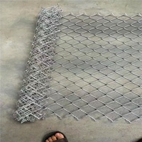 Usine bas prix 6 pieds imperméabilisent les rouleaux galvanisés de barrière de maillon de chaîne de grillage de cyclone à vendre