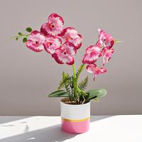 Plante artificielle Phalaenopsis à toucher réel, double branche, orchidée papillon artificielle en pot, bonsaï avec pot