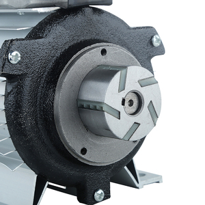 <span class=keywords><strong>Pompe</strong></span> de transfert de carburant diesel électrique auto-amorçante portable 550W / 220V - Product Image 4