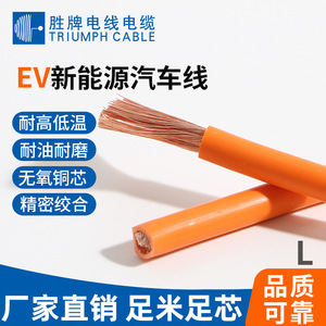 Triumph <b>Cable</b> Ev <b>Charging</b> <b>Cable</b> 2.5 4 6 10 16 25 35 50 Sq Mm Bare Copper Wire For Replace Repair - Product Image 3