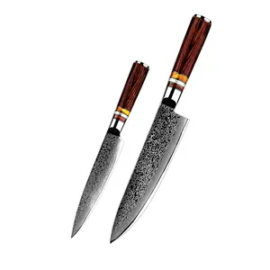 2 pezzi coltelli da cucina damasco vg10 67 strati in acciaio giapponese damasco Chef Knife Set