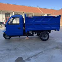 Tricycle diesel de 2 tonnes de capacité de chargement / tricycle à trois roues à benne basculante pour usage agricole