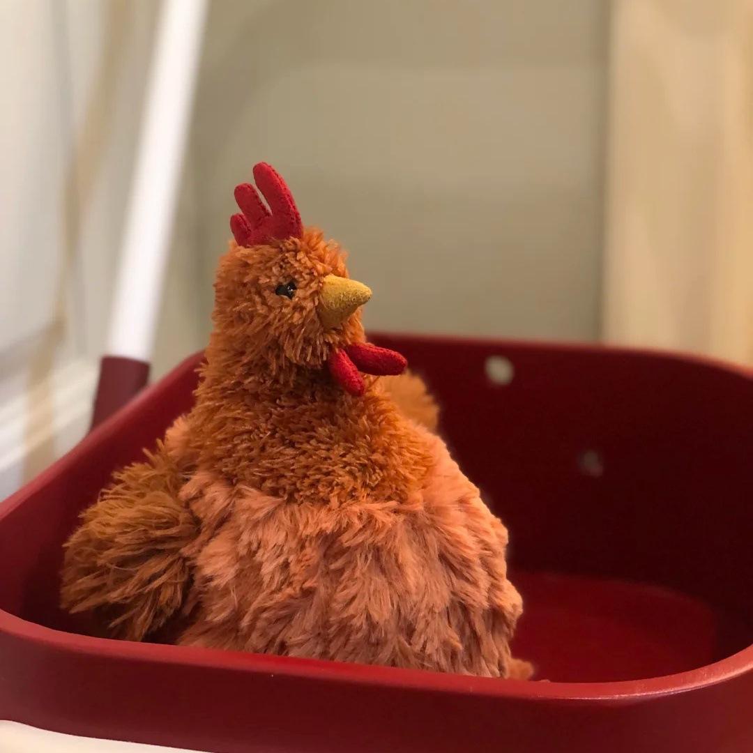 Cecil chicken hen 23cm