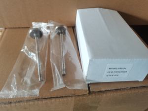 Pièces de Moteur G9U d'<span class=keywords><strong>occasion</strong></span> 7701472669 7701472670 Soupapes d'admission, d'échappement et poussoirs de soupape pour moteur <span class=keywords><strong>Renault</strong></span> Master 2.2 - Product Image 6