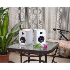 OEM ODM Loa Thụ Động CNC Hợp Kim Nhôm 3 Inch Loa Giá Sách Để Bàn Âm Thanh HiFi Loa Khuếch Đại Loa Âm Thanh Một Cặp - Product Image 6