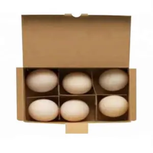 Toptan kraft/oluklu mukavva 6 kavite yumurta kartonları kağıt hamuru