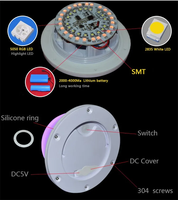 Lumières de décoration de boule de PE de flottement imperméable extérieur à télécommande de LED RGBW futé