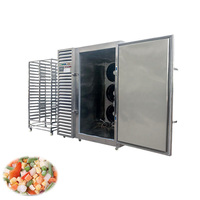 Cryogene snelvriesinstallatie voor vis, fruit & groenten met temperatuurregeling van -80 tot 0°C, koelmiddel R404A+R23